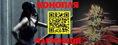 СК Гатчина