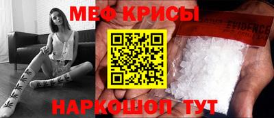 СК Гатчина