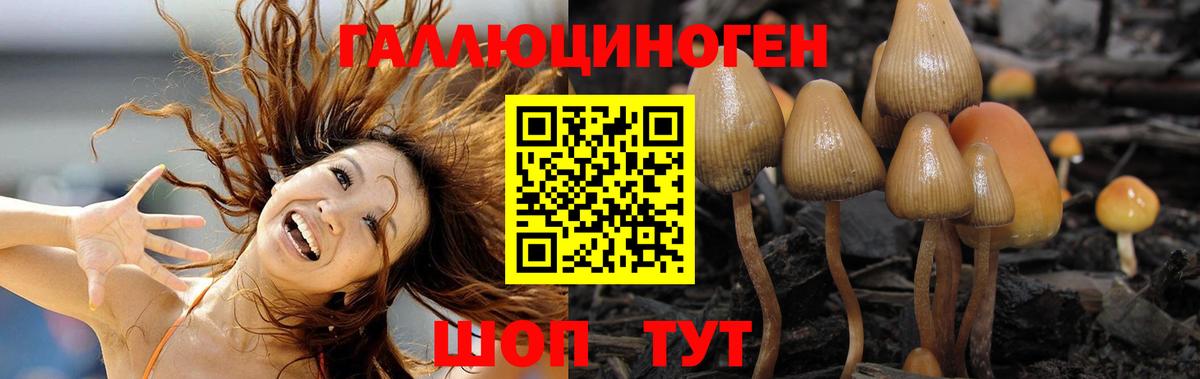 Батайск  Псилоцибиновые грибы Magic Shrooms  даркнет сайт  Вход с VPN 